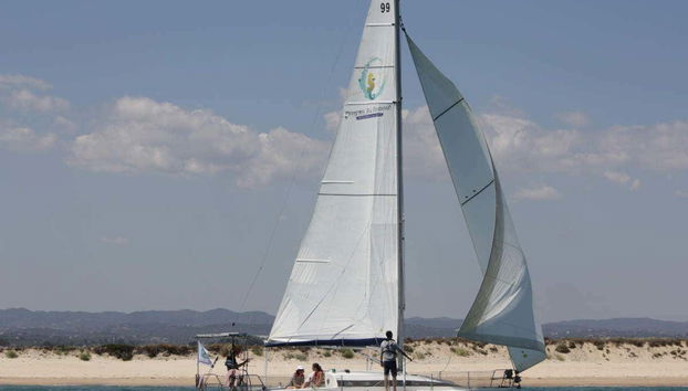 Ria Formosa Cruise - Foto 4