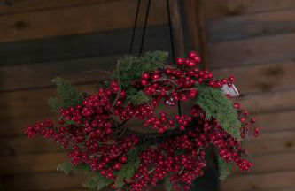 Mansarda Valù - Foto 24