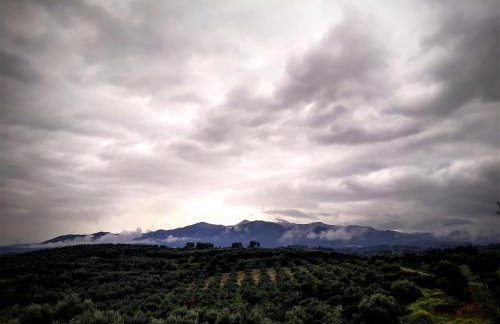 Suite of light rooms - Foto 32