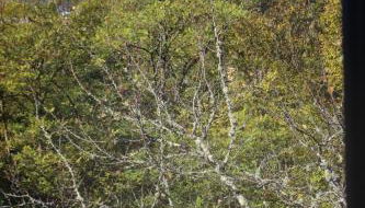 Montcuq, maison avec vue sur la Tour, classé 3*** - Foto 5, Garden view