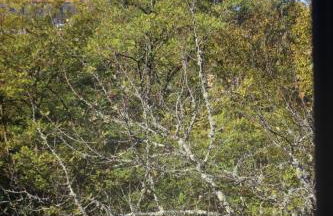 Montcuq, maison avec vue sur la Tour, classé 3*** - Foto 5
