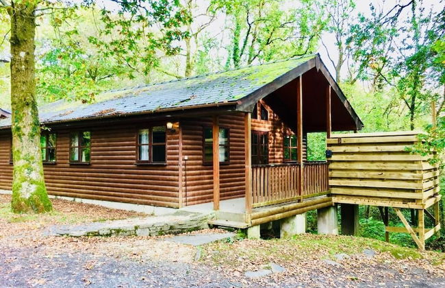 Goldcrest 3 Hot Tub - Foto 1