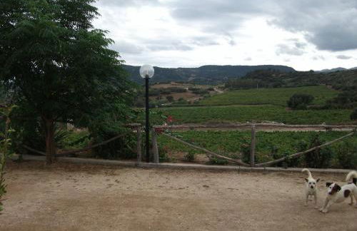 Agriturismo Su Solianu - Foto 44