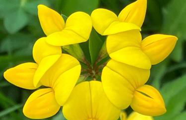 Ferienwohnung Aussicht, Monheimer Alb, Altmühltal - Foto 15