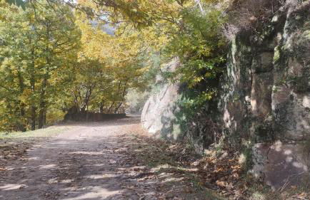 Escondite de Julia - Foto 25