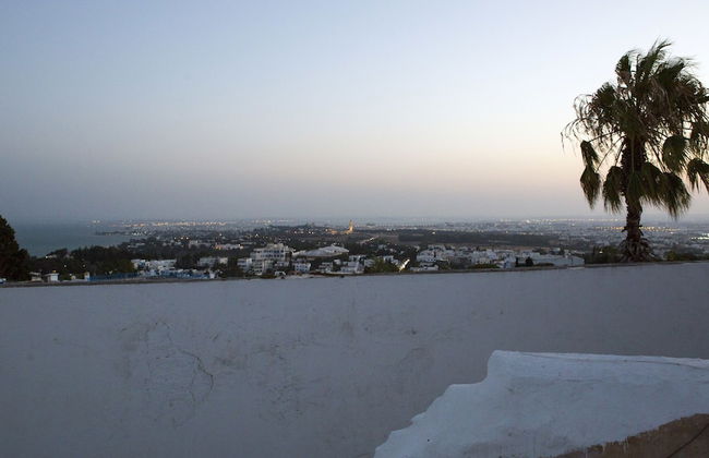 Dar Indigo - Photo 43