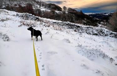 Rock Ridge Villa - Foto 25