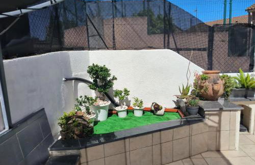 Maison chaleureuse à Ajaccio avec vue sur le jardin - Foto 15