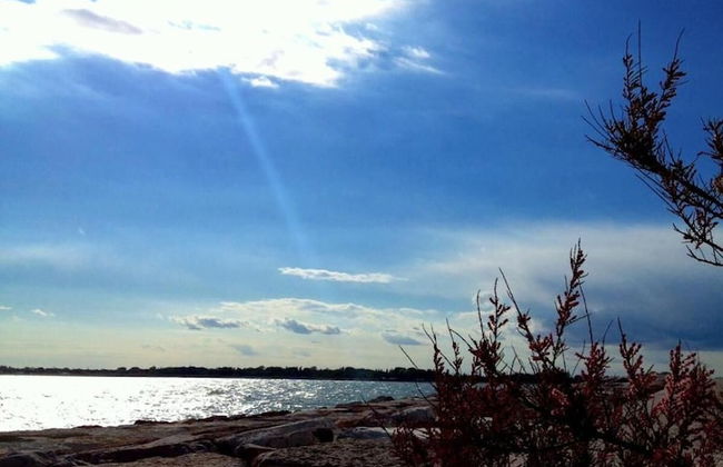 Villa Venice Movie - Photo 49