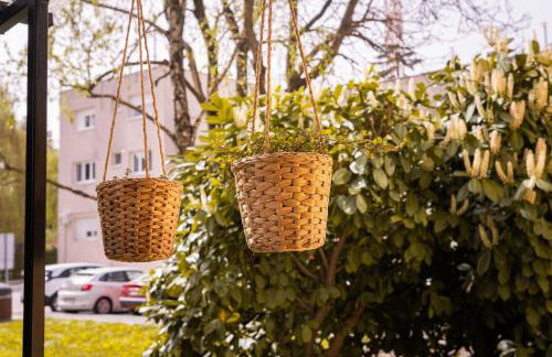 Apartment City Cat - Photo 4