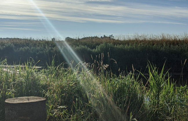 6 Person Holiday Home in Braedstrup-by Traum - Foto 4