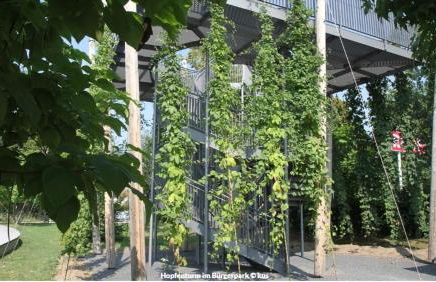 Komfort-Apartment - 93m2 - Zentral - Nähe Stadtpark - Foto 51