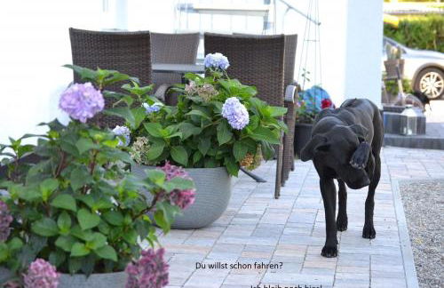 Haus Buddenbrock auf Rügen - Foto 18