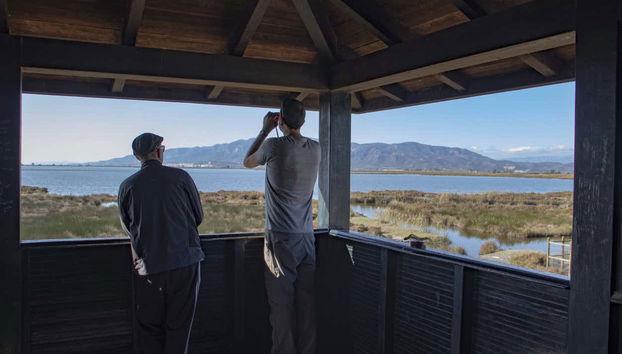 Admirez la lagune de l'Encanyissada