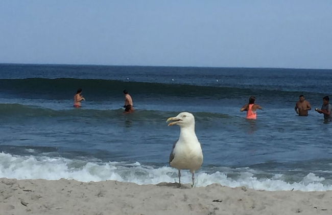 Sea Spray Condo - Foto 67