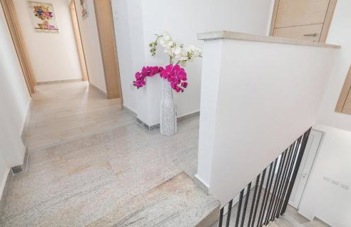 Amazing Home In Mihatovici - Foto 8
