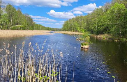 Nasze Podlasie, Domek w Dubiczach Cerkiewnych - Foto 30