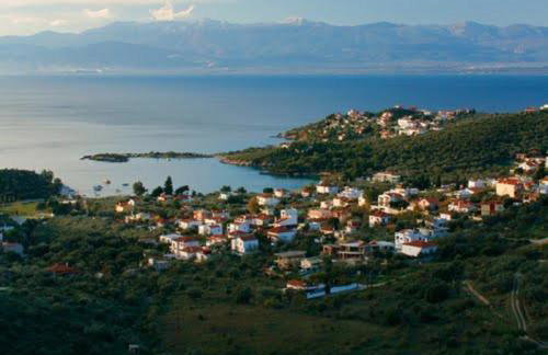 Alexander's - Foto 37