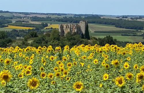 Logement entier de charme, gite équestre GERS Flamarens - Photo 51