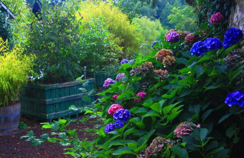 Gite la Baudrière - Foto 9