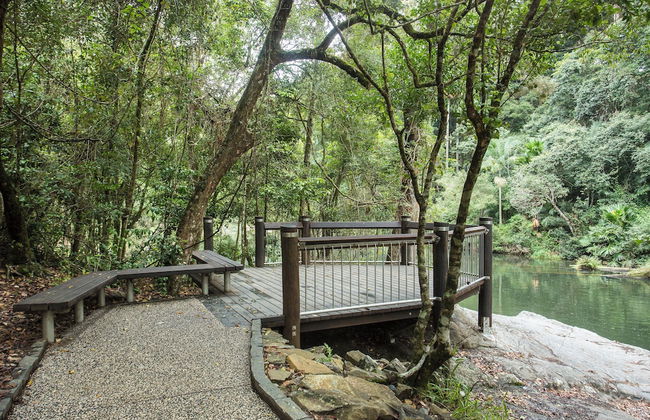 Riviera Mackay - Photo 28