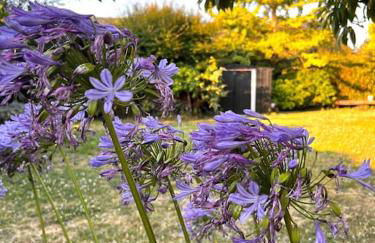 La Maison Rose - avec grand jardin clos à 300m de la mer - Foto 20