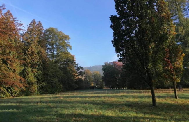 Quaint Apartment with Balcony in Bad Pyrmont near River - Foto 37