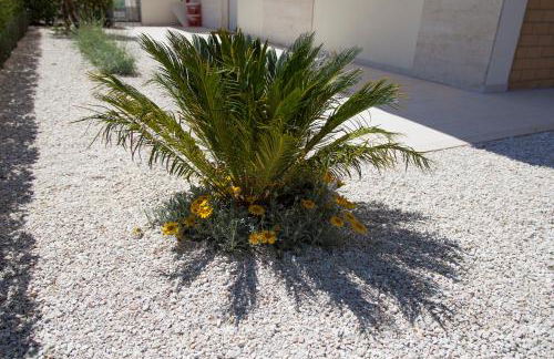 Casa Prima Fila Mare - Foto 8