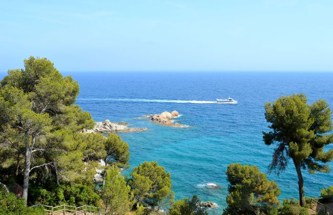 Studios Face À La Mer - Cala Llevado - Foto 14