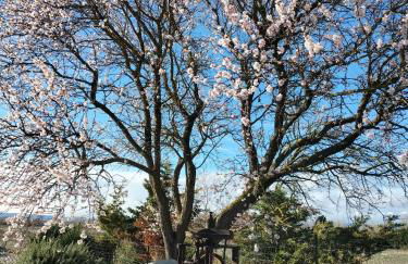 Studio confortable et calme au millieu des vignes - Foto 17