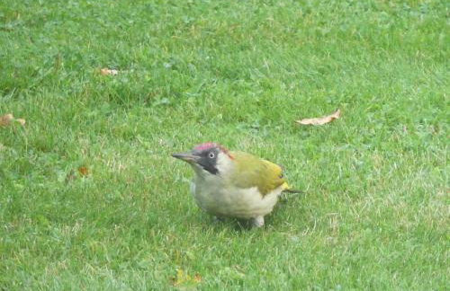 Relaxing Retreat with Hot Tub - Photo 4