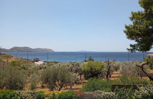 Anemelia & Helios Studio - Foto 34