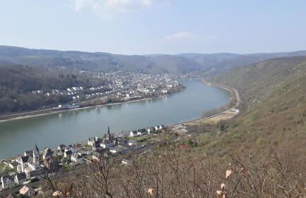 Haus Rheinglück "Liebenstein" - Foto 15