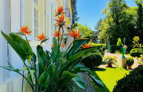 Villa Schloss Rimsingen Fine Apartments - Foto 1