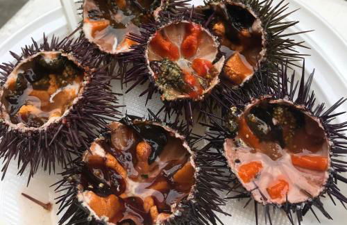 Les VOILES DE GOLFE - Foto 43