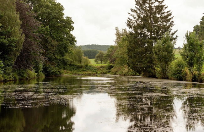 Tenneville Villa With Sauna - Photo 38