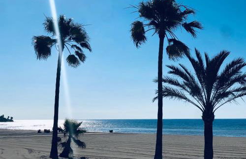 Casa de Dolores - Photo 19