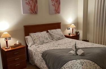 Apartamento Miranda - Foto 5