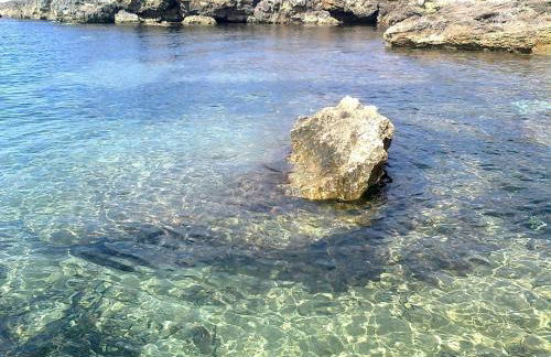 Buena Vista - Country Villa - Free Wifi, Outdoor Shower - Foto 39