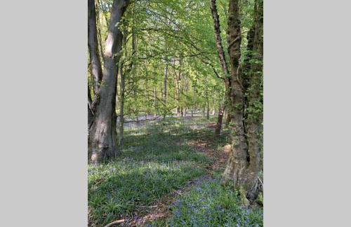 ROSE COTTAGE - Foto 37