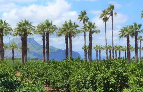La Giralda 2 Denia Les Marines - Photo 52