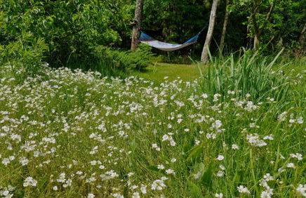 Domek nad Jeziorem Lewinko Kaszuby - Photo 2