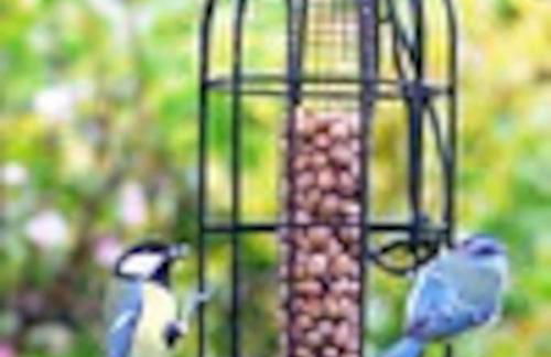 Strongate Cottage Rural Retreat - near Bridport & Jurassic Coastline - Photo 37