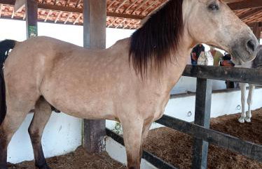 Flat no condomíno Monte Castelo em Gravatá-PE - Foto 29