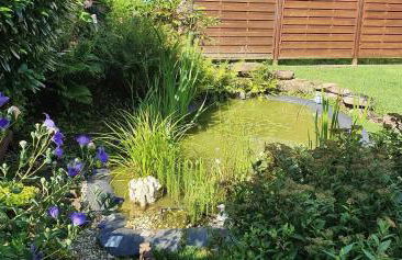 Ferienhaus Korn mitten im schönen Pfälzer Wald, Privat Haus - Foto 18