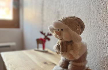 Cocon Alpin à Praz sur Arly, près des pistes - Foto 31