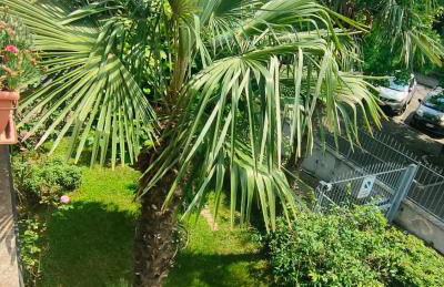 La Magnolia - Photo 37