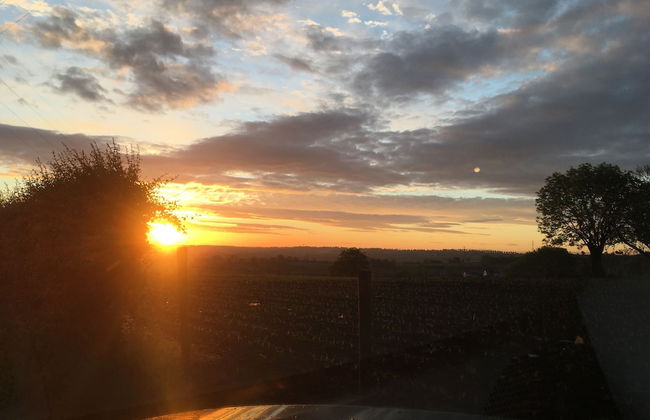 Country House Au Ballet des Hirondelles - Foto 48