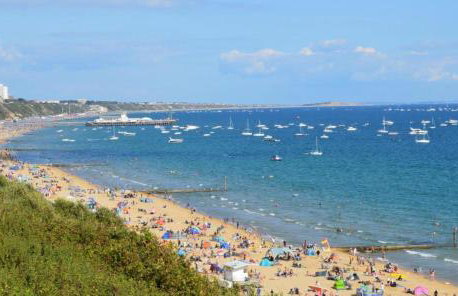 Poppy at Oakdene Forest Park - Foto 78