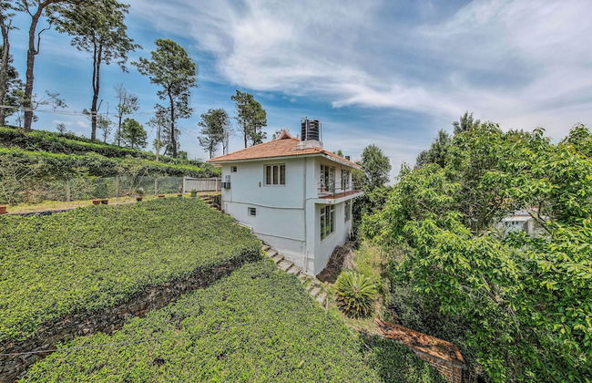 Samrakshitha Suits - Foto 7